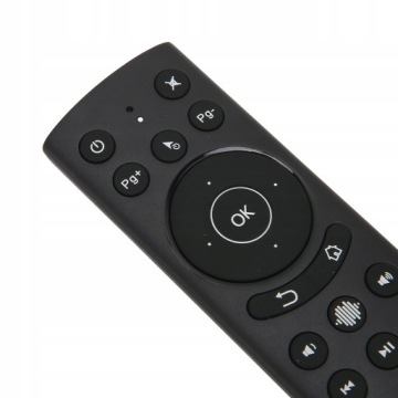 G20S PRO BT двойной голосовой пульт дистанционного управления Bluetooth