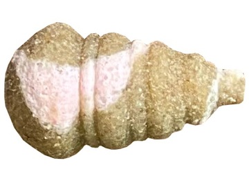 Twister Mini Feeder Bait KWAS MASŁOWY CZOSNEK 25ml