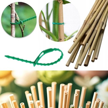 БАМБУКОВЫЙ ШТОК 100X - ПОДДЕРЖКА ДЛЯ ЦВЕТОЧНЫХ РАСТЕНИЙ - 60 СМ, 8-10 ММ + 100 ШТИФТОВ