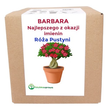 Ekologiczny prezent zestaw imieniny Barbary