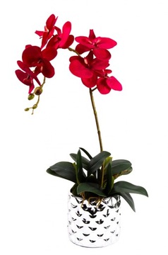 КОРНИ ЛИСТОВОЙ ОРХИДЕИ РЕЗИНА 23 СМ