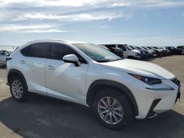 Lexus NX I 2020 Lexus NX 300 Base 2020 2.0L 2.0 Benzyna 235KM, zdjęcie 4