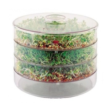 Ящик для рассады Тораф, прозрачный, 20х15 см.