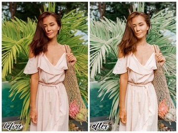 Предустановленные пресеты Adobe Lightroom - 10 фильтров COCONUT