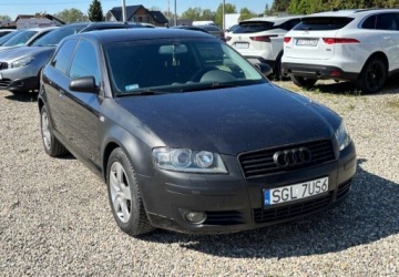 Audi A3 8P Hatchback 3d 2.0 FSI 150KM 2003 Audi A3 3-drzwiowe 2003 r. 2.0 Benzyna 150KM, zdjęcie 7