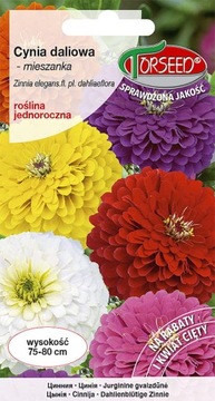 Cynia daliowa mieszanka 1g nasiona Torseed