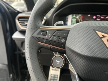 Cupra Formentor Crossover Facelifting 2.0 TSI 333KM 2025 Cupra Formentor VZ 2.0 333KM Pakiet Pure Performan, zdjęcie 21