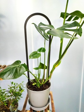 ПОДДЕРЖКА ДЛЯ ЦВЕТОВ АРКА ПЕРГОЛА 58см XXL