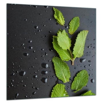 SZKLANY PANEL OCHRONNY DO KUCHNI 60x65 MIĘTA LACOBEL