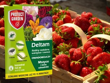 ДЕЛЬТАМ ИНСЕКТИЦИД ИНСЕКТИЦИД против тли, гусениц и вредителей 2х5мл