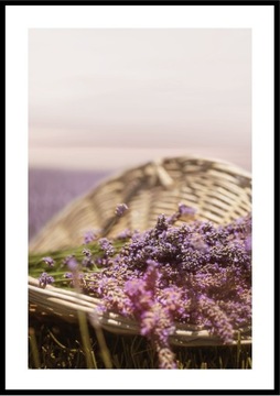 PLAKATY obrazy zestaw 6szt 30x40cm A3 piękna lawenda Toskania Prowansja