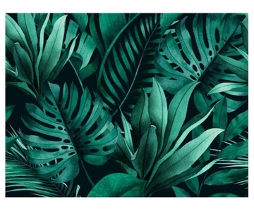 Fototapeta 368x280cm dżungli z monstera bananowce