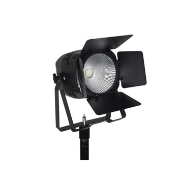 Светодиодный театр EUROLITE COB 100 WW