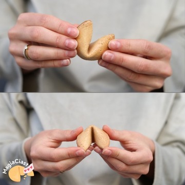 Печенье с предсказаниями Спасибо для гостей Печенье на удачу 100 шт.