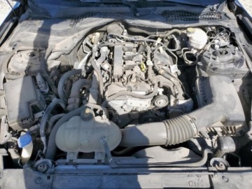 Ford Mustang VI 2021 Ford Mustang 2021 FORD MUSTANG 2.3 Benzyna 310KM, zdjęcie 10