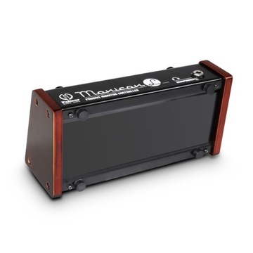 PALMER Monicon L Контроллер пассивного монитора