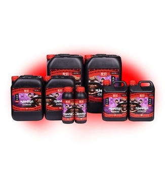 SHOGUN SAMURAI COCO A/B 2*1L