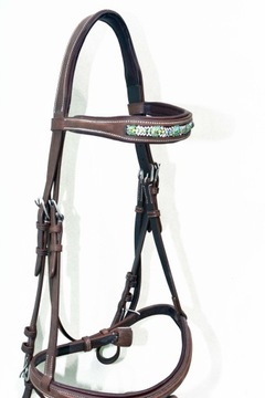 Профилированная анатомическая команда полна