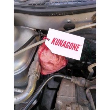 ЭФФЕКТИВНЫЙ ОТПУСКАТЕЛЬ КУНИЦЫ С СОБАЧЬЕЙ ШЕРСТЬЮ КУНАГОНЕ