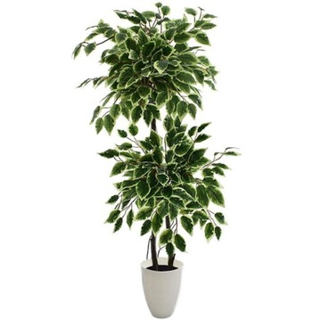 SZTUCZNE DRZEWKO FIKUS ROŚLINA KOMPOZYCJA DEKORACJA DOM BIURO PREMIUM