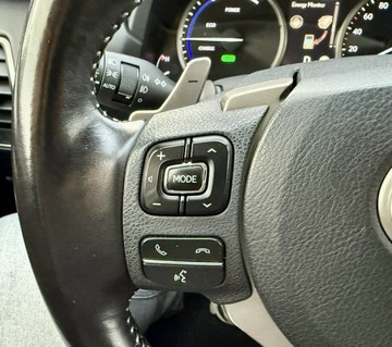 Lexus NX I 2020 Lexus NX 300h,Hybryda,4x4,Europa, zdjęcie 28