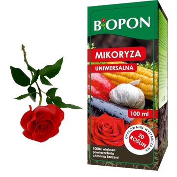 MIKORYZA UNIWERSALNA SADZONKI PRZESADZANIE 100 ML