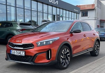 Kia XCeed Crossover Facelifting 1.5 T-GDi 140KM 2024 Kia XCeed MY25 wersja BUSINESS LINE dach panoramiczny dostepny od reki, zdjęcie 2