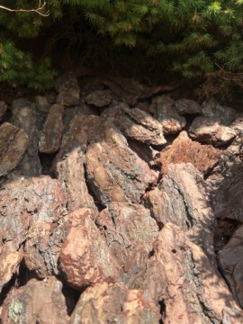 СОСНОВАЯ КОРА ЭКСТР ТОЛСТАЯ 80/250 РУЧНАЯ СОРТИРОВКА ДЕКОРАТИВНАЯ XXL