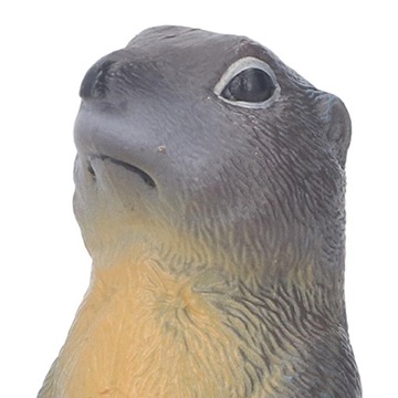 Статуя сурка, игрушка, фигурка дикого животного, модель