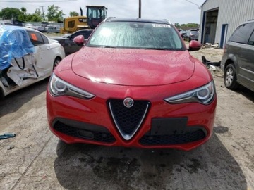 Alfa Romeo Stelvio SUV 2.0 Turbo 280KM 2018 Alfa Romeo Stelvio 2018 ALFA ROMEO STELVIO TI, silnik 2.0 L , 2.0 Benzyna, zdjęcie 5