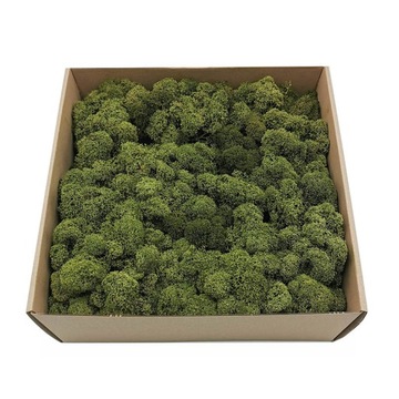 250g netto MECH CHROBOTEK reniferowy OCZYSZCZONY