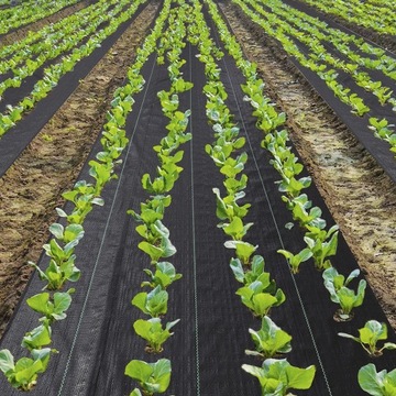 Ландшафтная ткань из черной травы, тканый барьер, прочная почвопокровная ткань