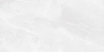 PŁYTKA HARMONY BLANCO MATOWA 25X60 GAT. I