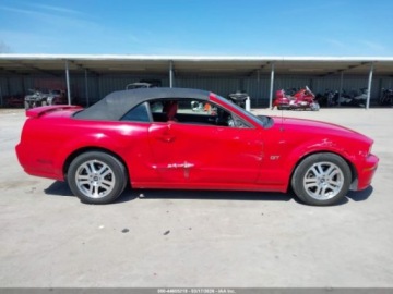 Ford Mustang V 2006 Ford Mustang GT 2006 4.6 Benzyna 300KM, zdjęcie 6