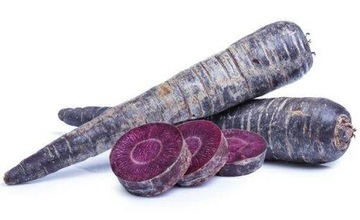 MARCHEW PURPLE HAZE Fioletowa marchewka 0,5KG