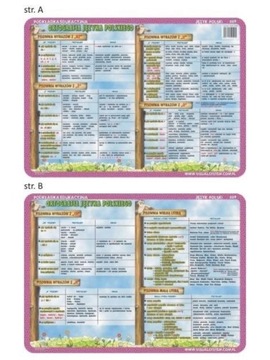 ЭДУ ПАД. 009 - ОРФОГРАФИЯ: CH, H, RZ, Ż, Ó..