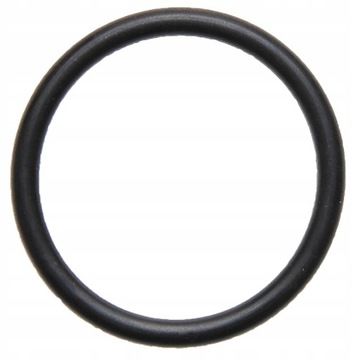 Oring zaworu pompy 38x4 634AP21OR38X4