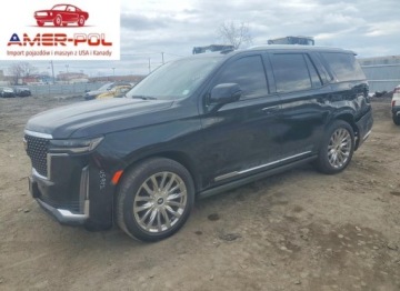 Cadillac Escalade III 2023 Cadillac Escalade Premium Luxury 2023 6.2 Benzyna 420KM