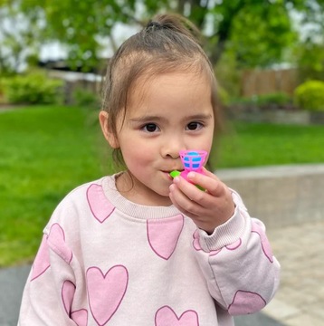 Маленькая воздуходувка EMPIS