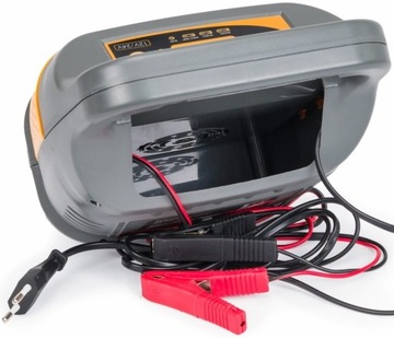 МИКРОПРОЦЕССОРНЫЙ АККУМУЛЯТОРНЫЙ ВЫПРЯМИТЕЛЬ 12В 24В