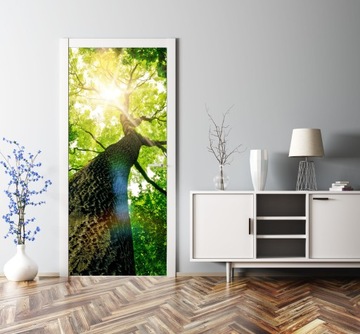 Стенная роспись для дверной мебели шпон солнечный дерево дерево