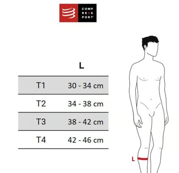 Compressport R2 3.0 T2 полосы сжатия