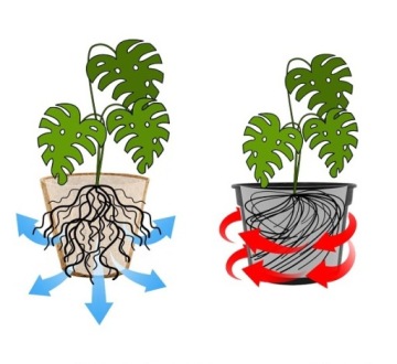 COCOnature кокосовый горшок Ø10см натуральный ВСТАВКА