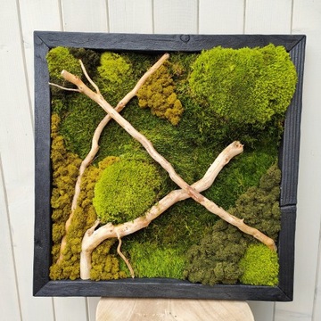 КАРТИНА СО МХОМ 50см ПРЕМИУМ яркая деревянная рамка лес в картине украшение МОХ