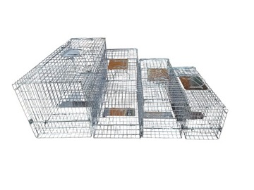 Живая гуманитарная ловушка для Foxes Cats Marten Weasels 95x36x34 см.