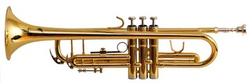 ТРУБА МЕМФИС МТ-100Г