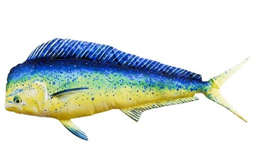 GABY pluszak ryba zabawka poduszka KORYFENA 112cm