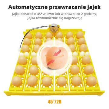 36 аксессуаров для инкубатора, лоток для яиц