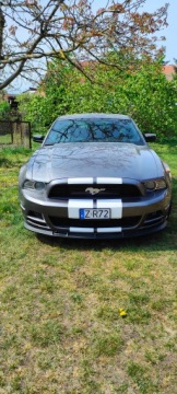 Ford Mustang VI 2014 FORD USA MUSTANG coupe 3.7 309 KM, zdjęcie 3
