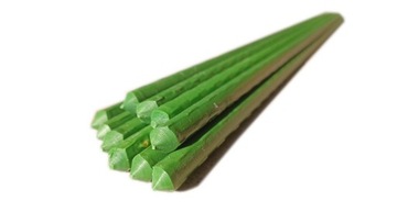 Садовые столбы Bradas TYP11120 1,1 x 120 см, 10 шт.